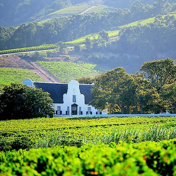 Tastes of South Africa